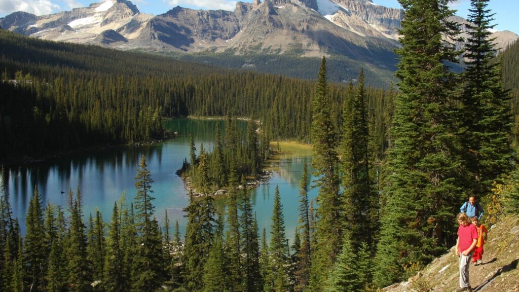 British Columbia ist ein Traum für Wanderer. Die Mischung aus wilden Küsten, unberührten Wäldern, alpinen Gipfeln und kristallklaren Seen macht jede Tour zu einem unvergesslichen Naturerlebnis.