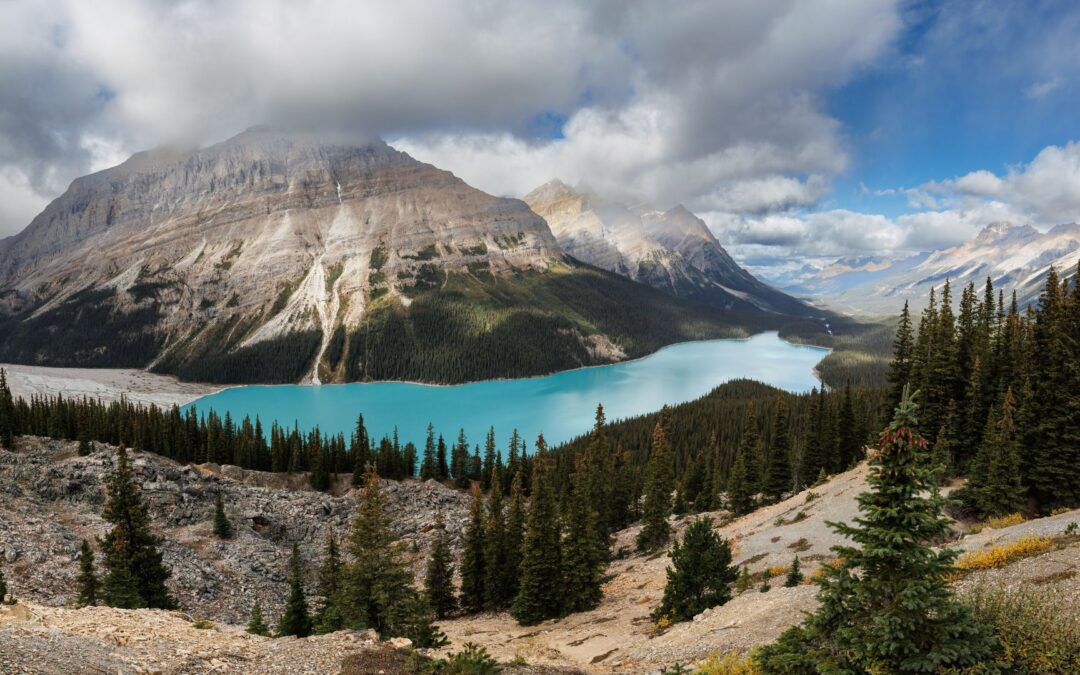 Jasper Nationalpark – Unberührte Wildnis im Herzen der kanadischen Rockies