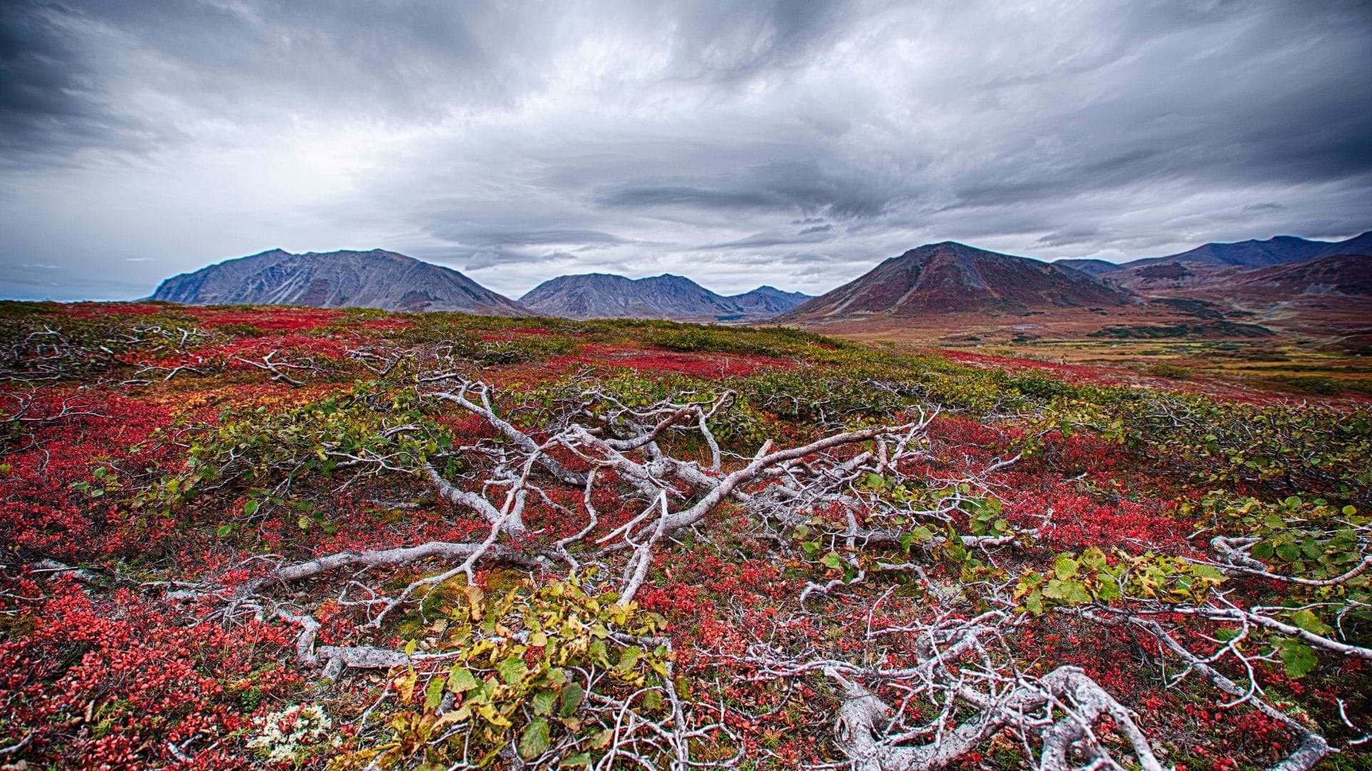 Nationalparks Kanada – spektakuläre Landschaft mit Bergen, Seen und unberührter Wildnis