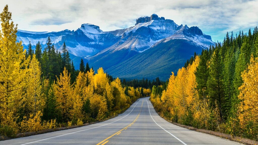 Es gibt Momente, in denen die Natur den Atem raubt – und der Indian Summer in Kanada ist einer davon. Wenn sich im Herbst die endlosen Laubwälder von Grün in ein leuchtendes Feuerwerk aus Gold, Orange und Rot verwandeln, dann beginnt eine der eindrucksvollsten Jahreszeiten des Landes.