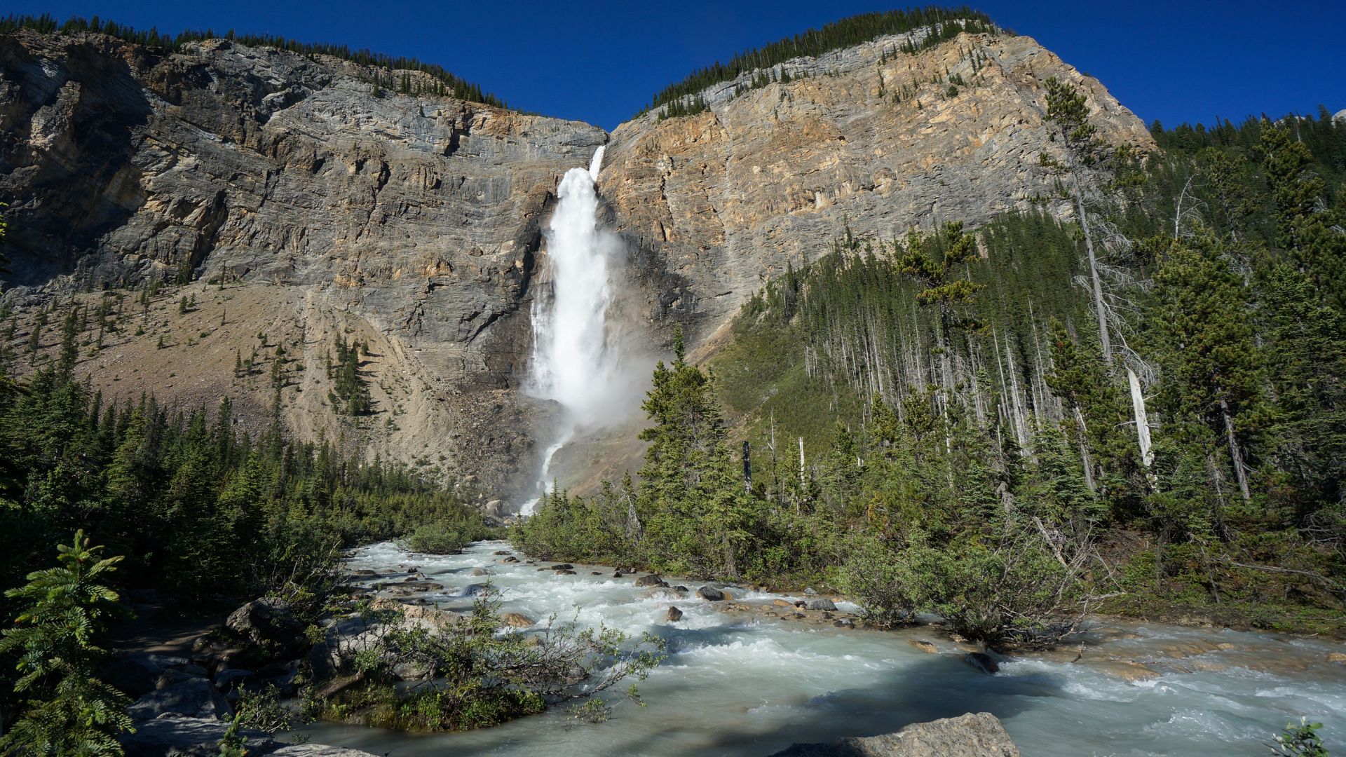 Naturmoment im Nationalpark Kanada Stiller Naturmoment in einem kanadischen Nationalpark