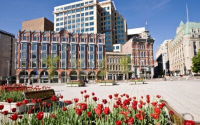 Ottawa Tulpenfestival