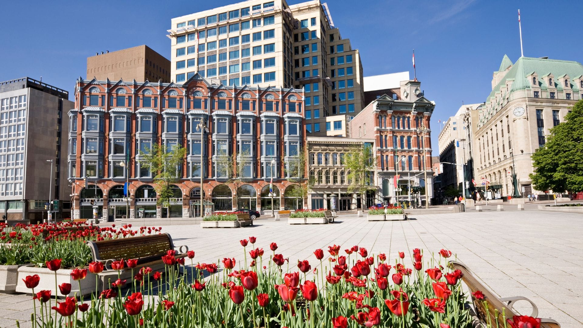 Ottawa Tulpenfestival im Frühling Tulpenblüte in Ottawa während des Canadian Tulip Festival im Frühling