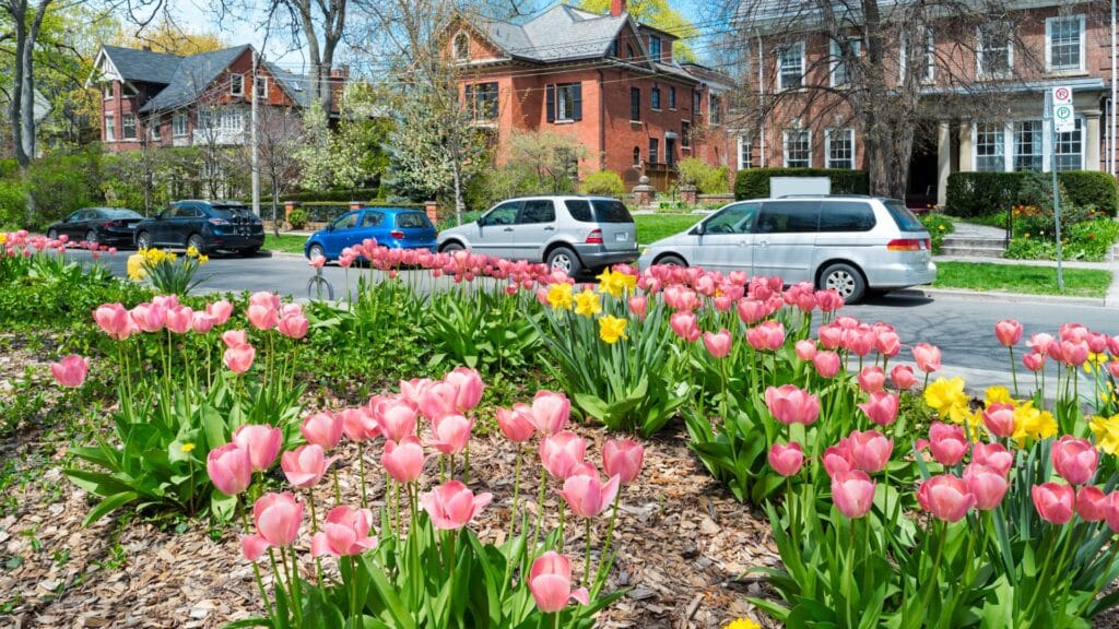 Montréal im Frühling Altstadt von Montréal im Frühling mit ruhiger Atmosphäre
