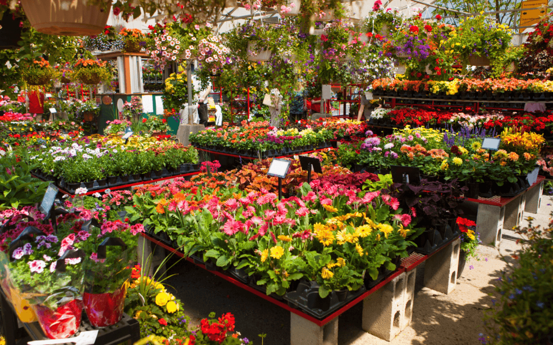 Ostkanada im Frühling