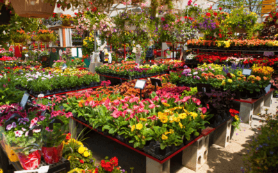 Ostkanada im Frühling